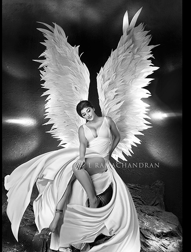 Studio portrait photography